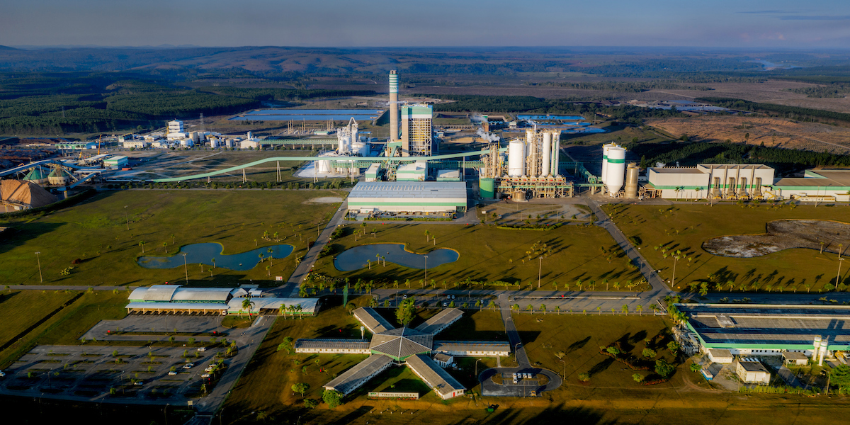 35 anos da Veracel: como a empresa ajudou a transformar o Sul da Bahia