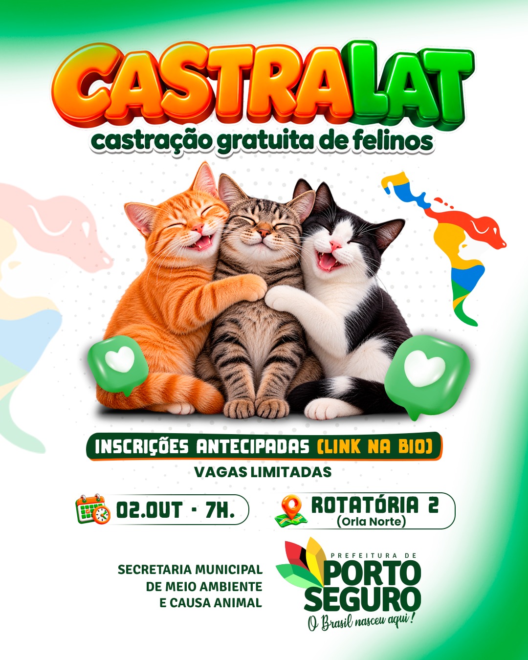 Porto Seguro participa de mobilização latino-americana com castração gratuita de felinos  Porto